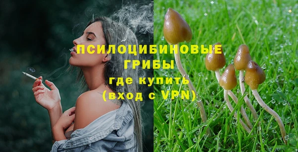 сатива Балабаново
