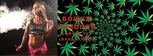 сатива Балабаново