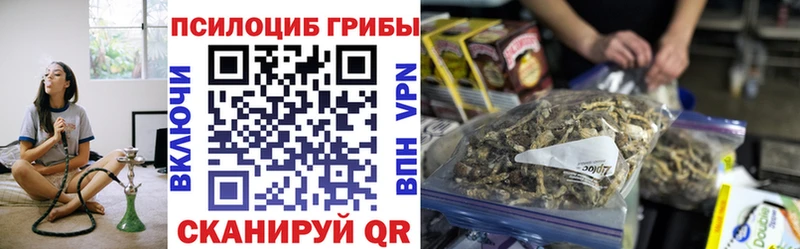 что такое наркотик  Кондрово  MEGA зеркало  Псилоцибиновые грибы Psilocybe 